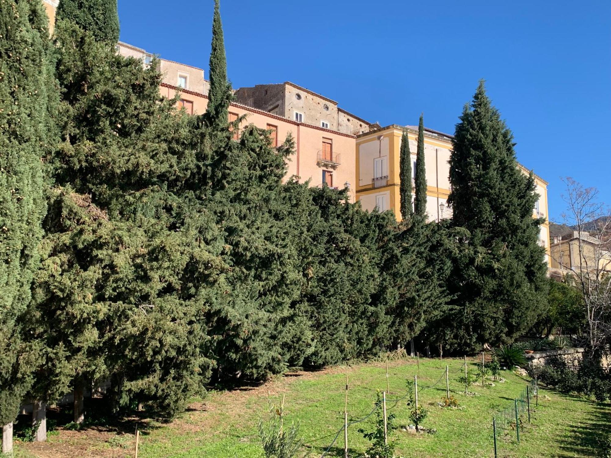 Palazzo Carratelli Leilighet Amantea Eksteriør bilde